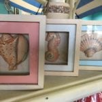 Coastal Shadow Boxes • Set of three coastal shadowboxes add a little color and interest anywhere. Perfect for a bathroom, sun porch or even a nursery.