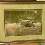 Signed & Numbered print • Fabulous print by artist Robert Mason Combs is entitled "Loggerhead". Signed  & numbered by the artist, comes with original envelope on which there is a narrative about the history of the artwork & of Loggerheads. Double matted and beautifully  framed!