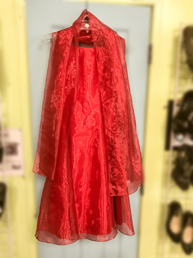 Jessica McClintock Red Gown • This beautiful Jessica McClintock red evening gown will make any woman feel like a princess! This dress is a size 8.