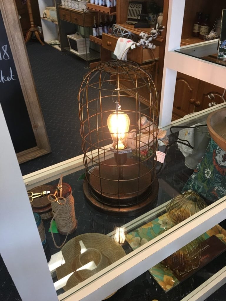 Edison Lighting • New from market the trending style industrial country light.  Edison bulb and wire cage lighting.
