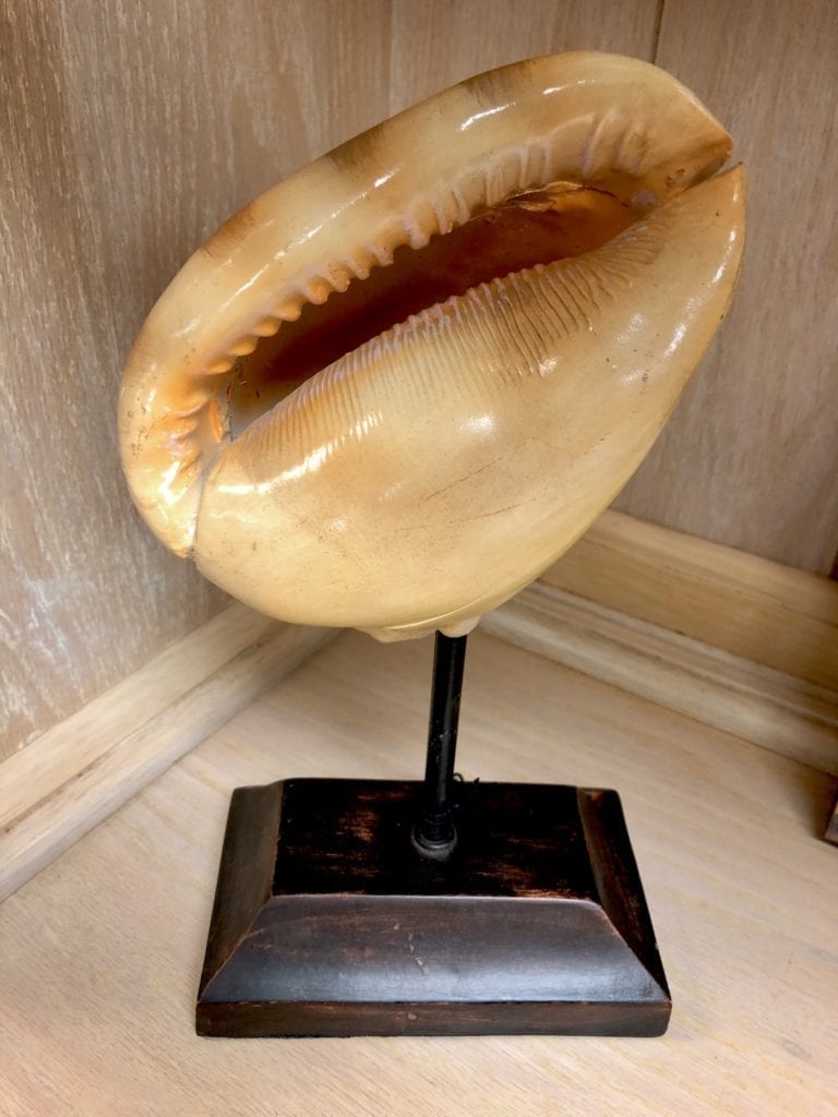 Shell Decor • Beautiful home decor accessory of a shell on wood block. Nice accent for a touch of the beach or for your beach condo.