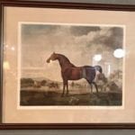 Sweet William Engraving Print • This is a print of an engraving by George Stubbs, entitled ‘Sweetwilliam’, a Bay Racehorse, in a Paddock, 1779′. Perfect for horse lovers and Anglophiles.
