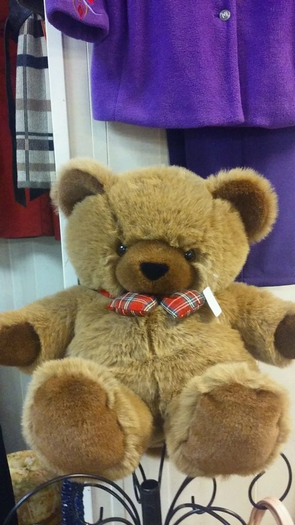 Christmas Teddy • Fuzzy Bear