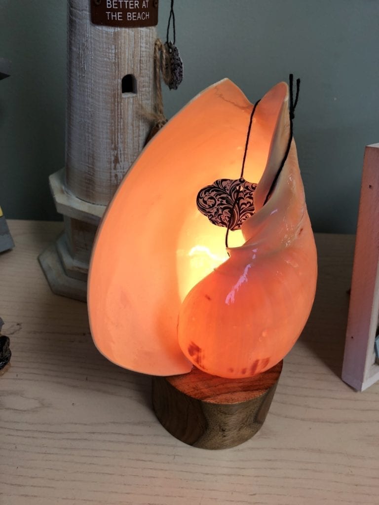 Large Shell Nightlight •