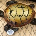 Driftwood Turtle • Beautiful colorful turtle on driftwood. Makes a wonderful gift for any turtle lover or those who love the sea.